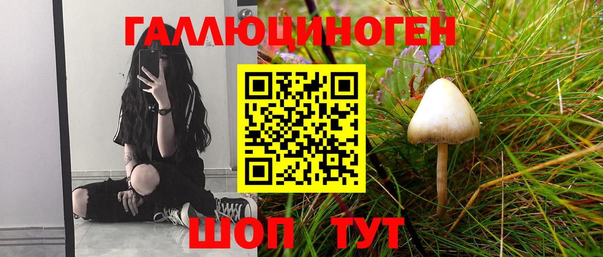 Галлюциногенные грибы ЛСД Лабытнанги