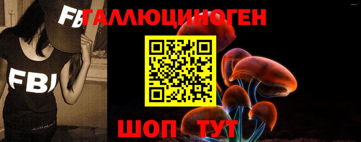 Галлюциногенные грибы Psilocybine cubensis  Вход с VPN  Псилоцибиновые грибы MAGIC MUSHROOMS  наркота  Лабытнанги 